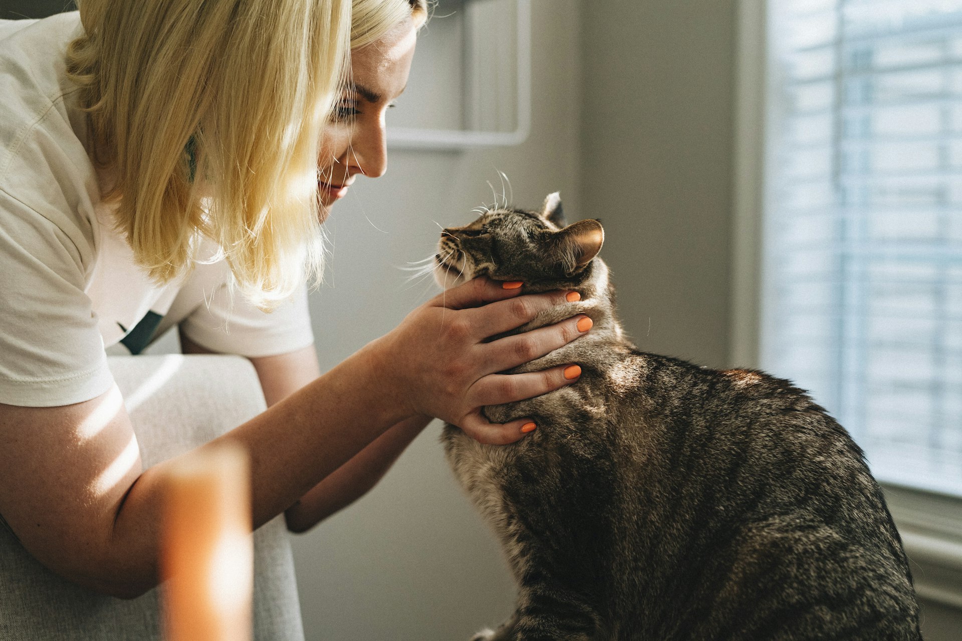 Veterinarian gently caring for a dog
